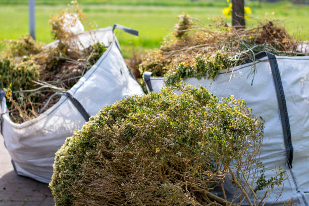 Best Shed Removal  in Indiana, PA