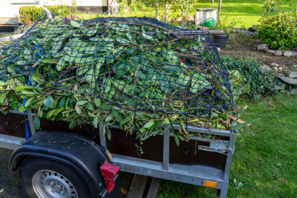 Best Carpet Removal and Disposal  in Indiana, PA